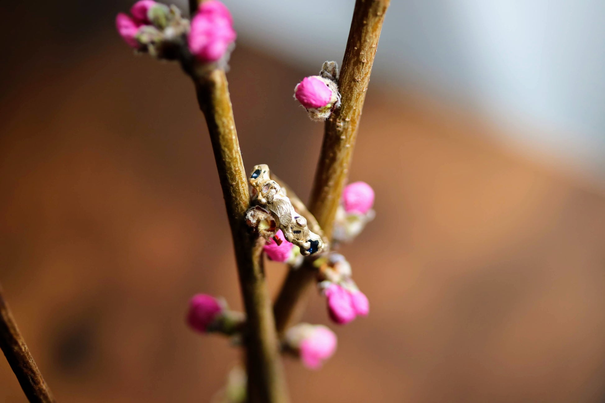 raw sapphire gold ring